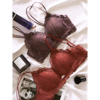 蕾丝法式内衣套装女性感美背薄款三角杯无钢圈透明少女秋冬文胸罩