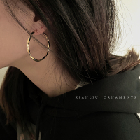 韩国气质金属扭曲麻花耳圈女2021年新款潮高级感网红圆圈耳环耳饰