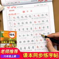 六年级上册语文字帖练字帖练字课本练习同步练习册下学期一课一练专项训练人教版写字硬笔楷书习字基础教材配套课课练小学天天练