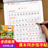 五年级上册同步字帖练字帖练字人教版小学课本写字课课练专项训练小学生语文练字本天天练入学字帖每日一练人教部编版