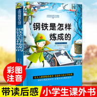 钢铁是怎样炼成的正版小学生注音版 世界名著小说读物 6-9-10-12岁少儿图书 一年级课外书注音版二年级课外书故事