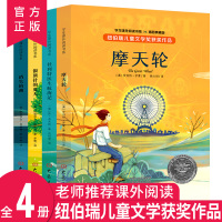 纽伯瑞儿童文学奖小说国际大奖小说系列全套4册消失的湖 一二三四五六年级书籍小学生课外书籍老师推荐书目儿童文学名著