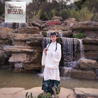 汉服女装襦裙仙女裙中国风学生汉服女重工绣明制立领斜襟长衫两件套汉服正