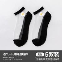 小雏菊袜子女士短袜浅口夏季薄款网红透明网纱水晶玻璃丝袜ins潮 雏菊-黑色5双