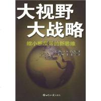 正常发货 正版   大视野大战略:缩小断层带的新思维 世界政治 书籍9787501236268