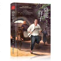 骆驼祥子 七年级下册老师要求必读书 青少年暑假课外阅读拓展新课标读物世界名著教辅世界文学名著书