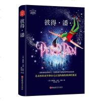 正版 彼得.潘-全译本-无障碍阅读 名家名译版 詹姆斯马修巴利 名著少儿读本 书籍