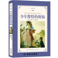 译林出版社 少年维特的烦恼原版正版书歌德原著德国 少年维特之烦恼世界名著长篇小说文学书籍初中生高中生课外书中学生阅读