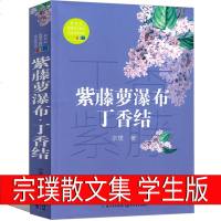 紫藤萝瀑布 丁香结 宗璞散文集37篇六年级小学生课外书正版七年级初中生上册下册宗璞的书散文精选好一朵木槿花 云野葫芦