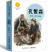 孔繁森高原上的红柳树张吉宙著时代先锋人物英雄人物名人传记三四五六年级课外书7-8-9-10岁小学生课外阅读书籍接力出