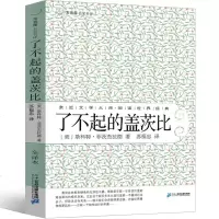 了不起的盖茨比中文版原版正版书原著直译 了不起的盖茨比书 译文杰斯菲尔德the great gatsby世界名著长篇
