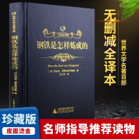 钢铁是怎样炼成的正版 原版原著中文版 世界经典文学名著小说 怎么 中小学高中生成人版书籍 初中正版原著黑金系列