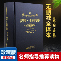 安娜卡列尼娜正版书完整版无删减青少成人版原著原本全译本婴列夫托尔斯泰著外国世界经典文学名著小说黑金系列