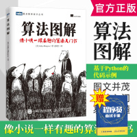 算法图解算法设计与分析 图灵程序设计丛书 算法书 编程算法 图解算法 电脑程序代码书 编程 算法笔记 程序代码算法竞赛