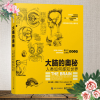 大脑的奥秘:人类如何感知世界 自然科普学书籍 科普大百科书籍 探索大脑神经学奥秘 神经科学史大事年表 大脑认识感知世界书