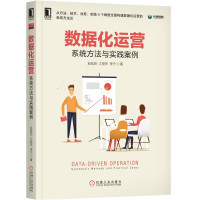 数据化运营 系统方法与实践案例 电子商务经管、励志数据分析师入教程书籍 数据分析与决策技术丛书 数据分析与决策教程图书