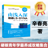 由浅入深精通LS-DYNATrueGridLS-DYNA软件教程动力学数值计算LS-DYNA动力学ansys有限元分析从