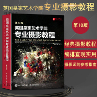 英国皇家艺术学院专业摄影教程 迈克尔兰福德摄影书籍入教材人像摄影手机摄影构图数码摄影后期处理技法技巧书论摄影