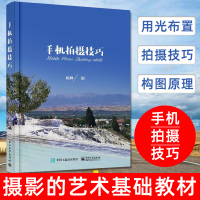 手机拍摄技巧 摄影的艺术一本入基础教材书籍构图技巧大全人像静物风景布光用手机玩数码单反后期纽约技术黑白初学到精通教学程