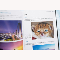 摄影构图用光与色彩从入到精通 数码单反相机拍摄技巧书摄影后期处理技法书 摄影构图技巧书 摄影教程人像摄影风光摄影