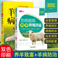 两本 羊病综合防治大全+怎样提高肉羊养殖效益养羊技术大全科学生态饲养养殖全书兽医羊疾病快速诊治羊病教材综合技术手册书