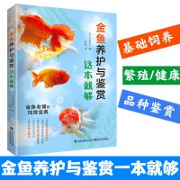 正版 金鱼养护与鉴赏这本就够 长尾桂介 实用入喂养护理饲养书 观赏鱼养金鱼书籍 饲养饲料配制 养鱼经验技巧 金鱼锦