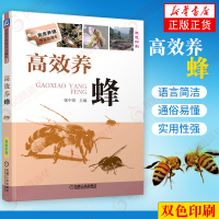 [新华书店旗舰店]高效养蜂 张中印 蜂蜜 蜜蜂养殖 养殖蜜蜂指南 蜜蜂良种繁殖 蜂病防治技术书籍 蜜蜂授粉教程科学饲