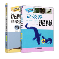 正版 高效养泥鳅+泥鳅养殖技术精解与实例 双色 泥鳅生态养殖技术书籍 泥鳅养殖技术书 水产养殖书 养泥鳅教程 泥鳅疾病预