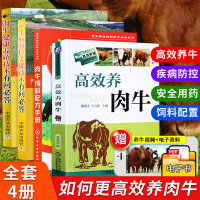 4册 养牛书籍大全高效养肉牛饲料配方手册牛病防控关键肉牛健康养殖技术有问必答牛病诊断养牛书籍大全 技术的书肉牛养殖技术书