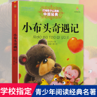 小布头奇遇记打动孩子心灵的中国经典6-8-10-12岁三四五六年级课外书小学生读物课外必读班主任推荐故事书儿童文学书籍正