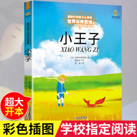 小王子 能打动孩子心灵的世界经典童话睡前故事书 6-12岁儿童中小学课外童话故事书 儿童童话故事 中国少年儿