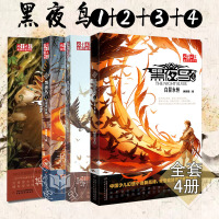 《儿童文学》金牌作家书系 黑夜鸟 全套4册颖曌作品含黑夜鸟4白昼永恒3回忆之踪2迷途夏域1黑夜陨歌少儿幻想小说[ 7