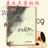 《儿童文学》金牌作家书系——来自天堂的狗 沈习武 少年文学 儿童长篇小说图书籍 欢迎来到这个有欢笑 有泪 有惊险 有感动