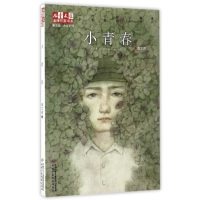儿童文学金牌作家书系秦文君小青春系列小青春7-10岁小学生课外阅读书籍班主任老师推荐阅读秦文君 中国少年儿童出版社
