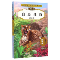 白斑母豹拼音版 沈石溪动物小说大王沈石溪精品集 儿童动物文学小说课外书 小学生三年级四年级五六年级童书