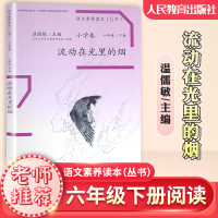 语文素养读本六年级下册 流动在光里的烟 6年级下人教版小学语文课本教材同步阅读书 温儒敏主编 课内外阅读素养丛书小学卷