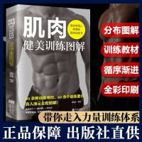 彩图全解 肌肉健美训练图解适合中国人体质的肌肉训练书陈林鑫著肌肉健美训练指南 真人分步图示热爱健身健身入门级人士专业指导