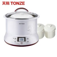 天际隔水炖盅DGD22-22EG