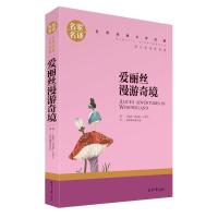 爱丽丝漫游奇境 名家名译世界经典文学名著 班主任推荐书籍 中小学生青少年名著书 中小学生课外阅读物 原汁原味读原著