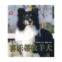 全新正版世界名犬驯养宝典-犬中女王 喜乐蒂牧羊犬 师晓蕾