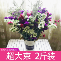 云南干花满天星论斤卖勿忘我干花花束家居客厅装饰摆件真花插花