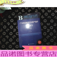广州市非物质文化遗产保护发展报告(2016)