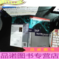 SAP NetWeaver -SAP新一代业务平台
