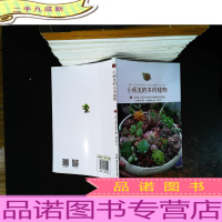 小而美的多肉植物