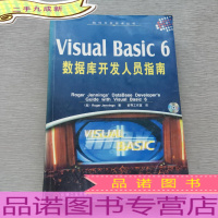 Visual Basic 6数据库开发人员指南