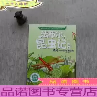 法布尔昆虫记绘本-蜻蜓:闪电飞行员