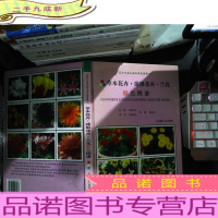 草本花卉 球根花卉 兰花 原色图谱