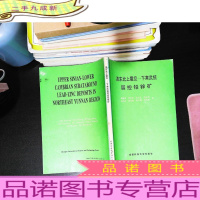 滇东北上震旦 下寒武统 层控铅锌矿 [书页发黄]