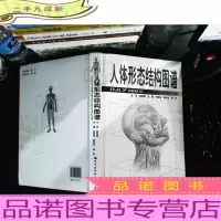 人体形态结构图谱