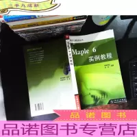 Maple 6实例教程 数学工具软件丛书